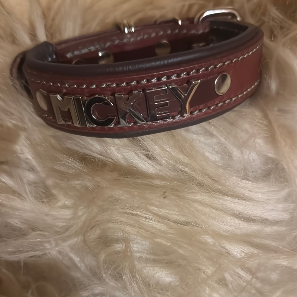 Brown Dog Collar